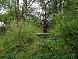 IMG_1041_web